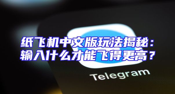纸飞机中文版玩法揭秘：输入什么才能飞得更高？
