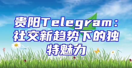 贵阳Telegram：社交新趋势下的独特魅力