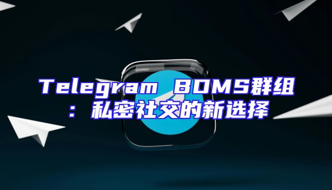 Telegram BDMS群组：私密社交的新选择