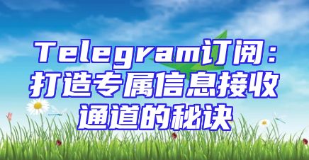 Telegram订阅：打造专属信息接收通道的秘诀