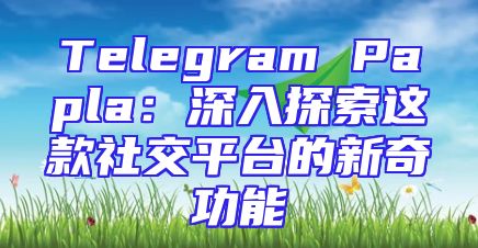 Telegram Papla：深入探索这款社交平台的新奇功能