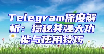 Telegram深度解析：揭秘其强大功能与使用技巧