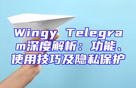 Wingy Telegram深度解析：功能、使用技巧及隐私保护