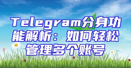 Telegram分身功能解析：如何轻松管理多个账号