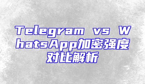 Telegram vs WhatsApp加密强度对比解析