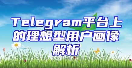 Telegram平台上的理想型用户画像解析