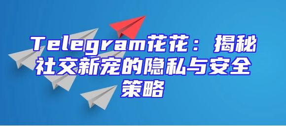 Telegram花花：揭秘社交新宠的隐私与安全策略