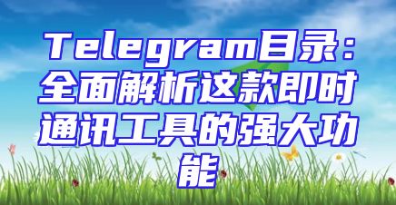 Telegram目录：全面解析这款即时通讯工具的强大功能