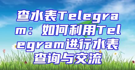 查水表Telegram：如何利用Telegram进行水表查询与交流