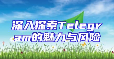深入探索Telegram的魅力与风险