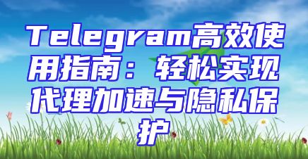 Telegram高效使用指南：轻松实现代理加速与隐私保护