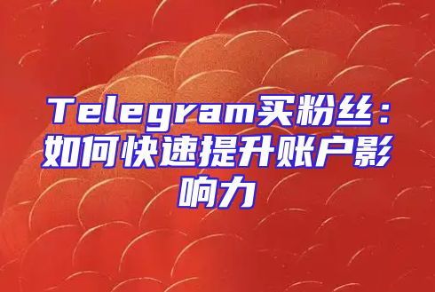 Telegram买粉丝：如何快速提升账户影响力