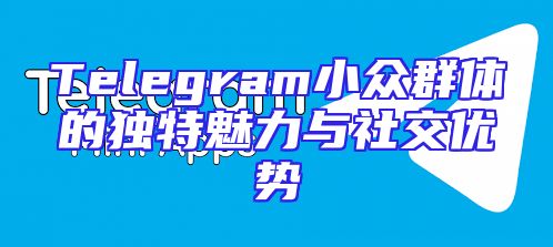 Telegram小众群体的独特魅力与社交优势