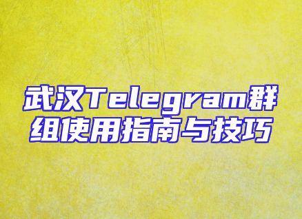 武汉Telegram群组使用指南与技巧