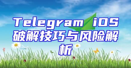 Telegram iOS破解技巧与风险解析