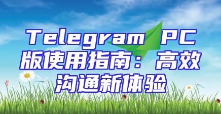 Telegram PC版使用指南：高效沟通新体验