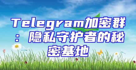 Telegram加密群：隐私守护者的秘密基地