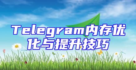 Telegram内存优化与提升技巧