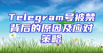 Telegram号被禁背后的原因及应对策略