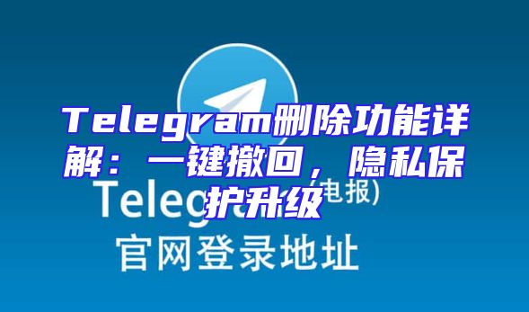Telegram删除功能详解：一键撤回，隐私保护升级