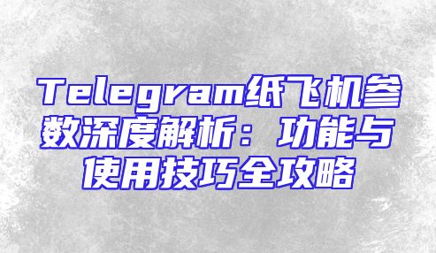 Telegram纸飞机参数深度解析：功能与使用技巧全攻略