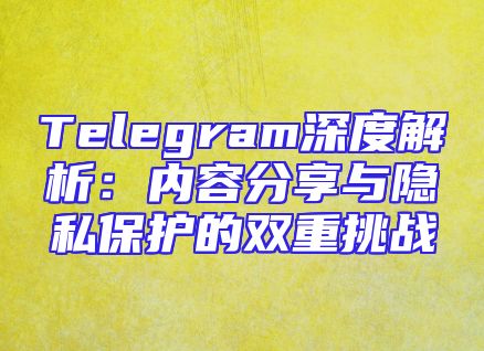 Telegram深度解析：内容分享与隐私保护的双重挑战