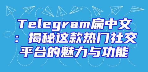 Telegram扁中文：揭秘这款热门社交平台的魅力与功能