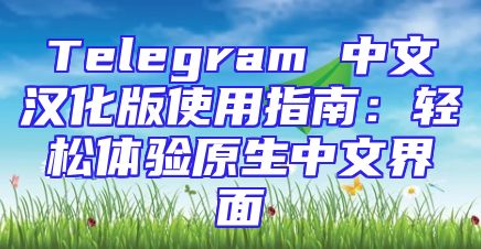 Telegram 中文汉化版使用指南：轻松体验原生中文界面