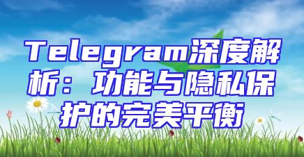 Telegram深度解析：功能与隐私保护的完美平衡
