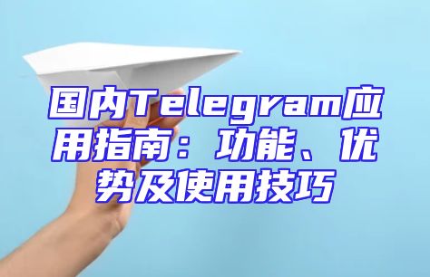国内Telegram应用指南：功能、优势及使用技巧