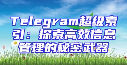 Telegram超级索引：探索高效信息管理的秘密武器