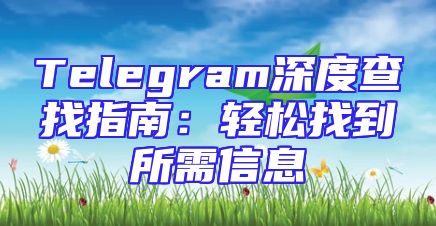 Telegram深度查找指南：轻松找到所需信息