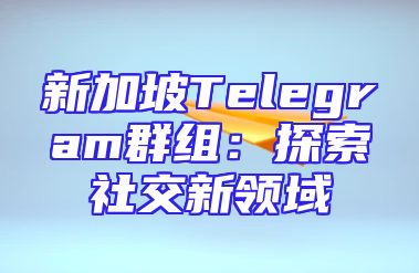 新加坡Telegram群组：探索社交新领域