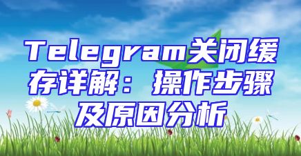 Telegram关闭缓存详解：操作步骤及原因分析