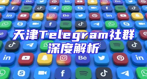 天津Telegram社群深度解析