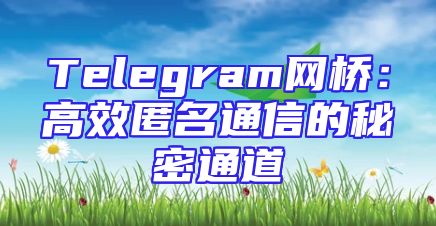 Telegram网桥：高效匿名通信的秘密通道