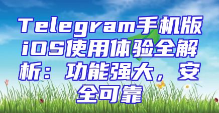 Telegram手机版iOS使用体验全解析：功能强大，安全可靠