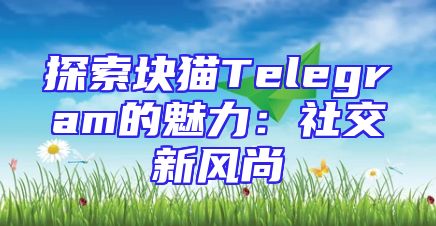 探索块猫Telegram的魅力：社交新风尚