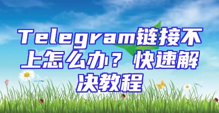 Telegram链接不上怎么办？快速解决教程