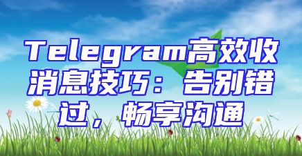 Telegram高效收消息技巧：告别错过，畅享沟通