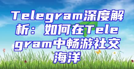 Telegram深度解析：如何在Telegram中畅游社交海洋