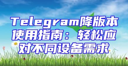 Telegram降版本使用指南：轻松应对不同设备需求
