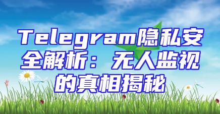 Telegram隐私安全解析：无人监视的真相揭秘