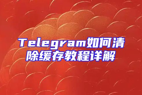 Telegram如何清除缓存教程详解