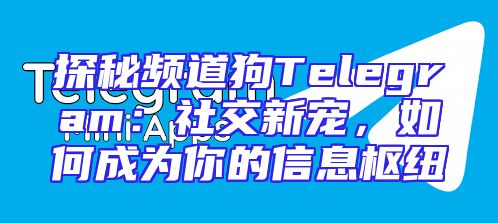 探秘频道狗Telegram：社交新宠，如何成为你的信息枢纽
