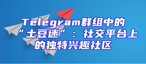 Telegram群组中的“土豆迷”：社交平台上的独特兴趣社区