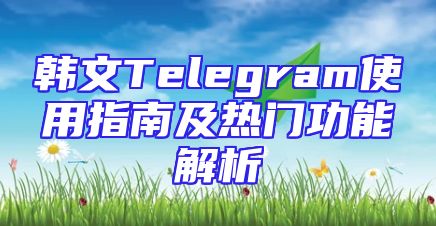 韩文Telegram使用指南及热门功能解析