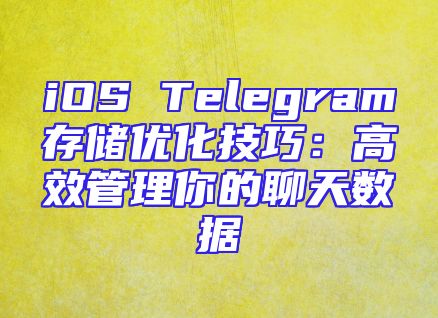 iOS Telegram存储优化技巧：高效管理你的聊天数据