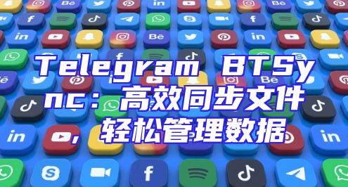 Telegram BTSync：高效同步文件，轻松管理数据