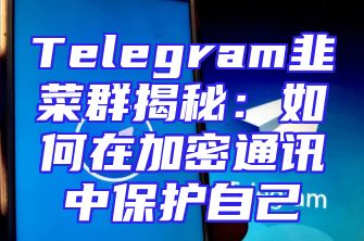 Telegram韭菜群揭秘：如何在加密通讯中保护自己